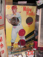 MantleBeanBag.JPG (68607 bytes)