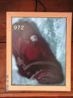 pict5864.jpg (47581 bytes)