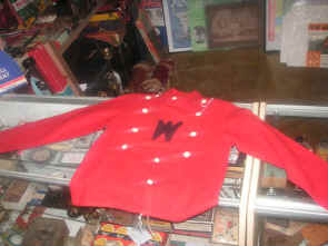 pict0481.jpg (168963 bytes)