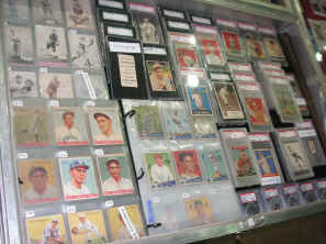 pict0302.jpg (241801 bytes)