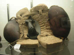 pict0345.jpg (244836 bytes)