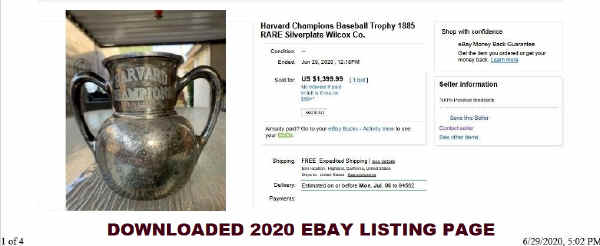 ebay listing 3.jpg (101656 bytes)