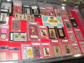 pict6817.jpg (229558 bytes)