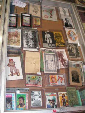 pict7387.jpg (305854 bytes)