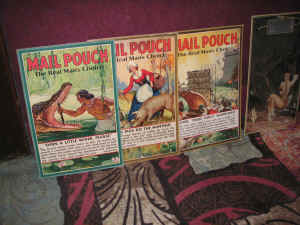 PICT4631_1200x900.jpg (243062 bytes)