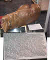 GiantBoxingGlove.jpg (1018795 bytes)