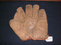 InsideGlove.JPG (222890 bytes)