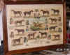 KnouseRunJockeysPost.jpg (566450 bytes)