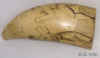 MechScrimshaw1.jpg (299041 bytes)