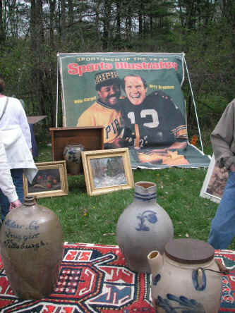 PICT0316_900x1200.jpg (232313 bytes)