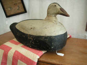 PICT0680_1200x900.jpg (156574 bytes)