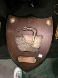 PICT7702_900x1200.jpg (78293 bytes)