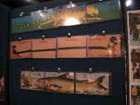 PICT7715_1600x1200.jpg (110938 bytes)