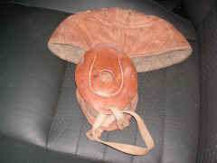 PICT7955_1600x1200.jpg (176490 bytes)