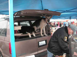 pict6215.jpg (190004 bytes)