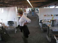 pict7946.jpg (181225 bytes)