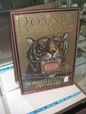 pict8036.jpg (172251 bytes)