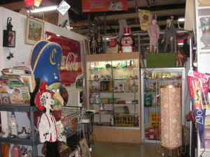 pict8135.jpg (252589 bytes)