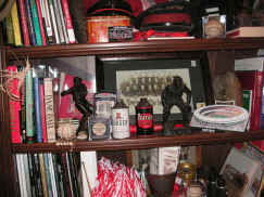 pict8519.jpg (253097 bytes)