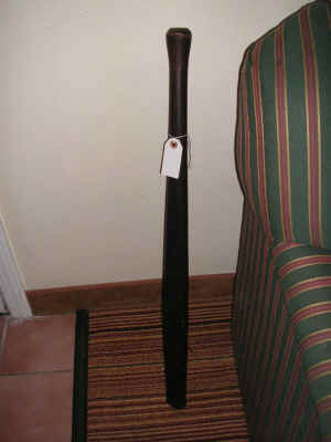 pict9549.jpg (145115 bytes)